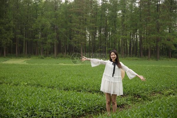 古韵茶香,杭州这些地方让人沉醉忘返 古韵茶香,杭州这些地方让人沉醉忘返